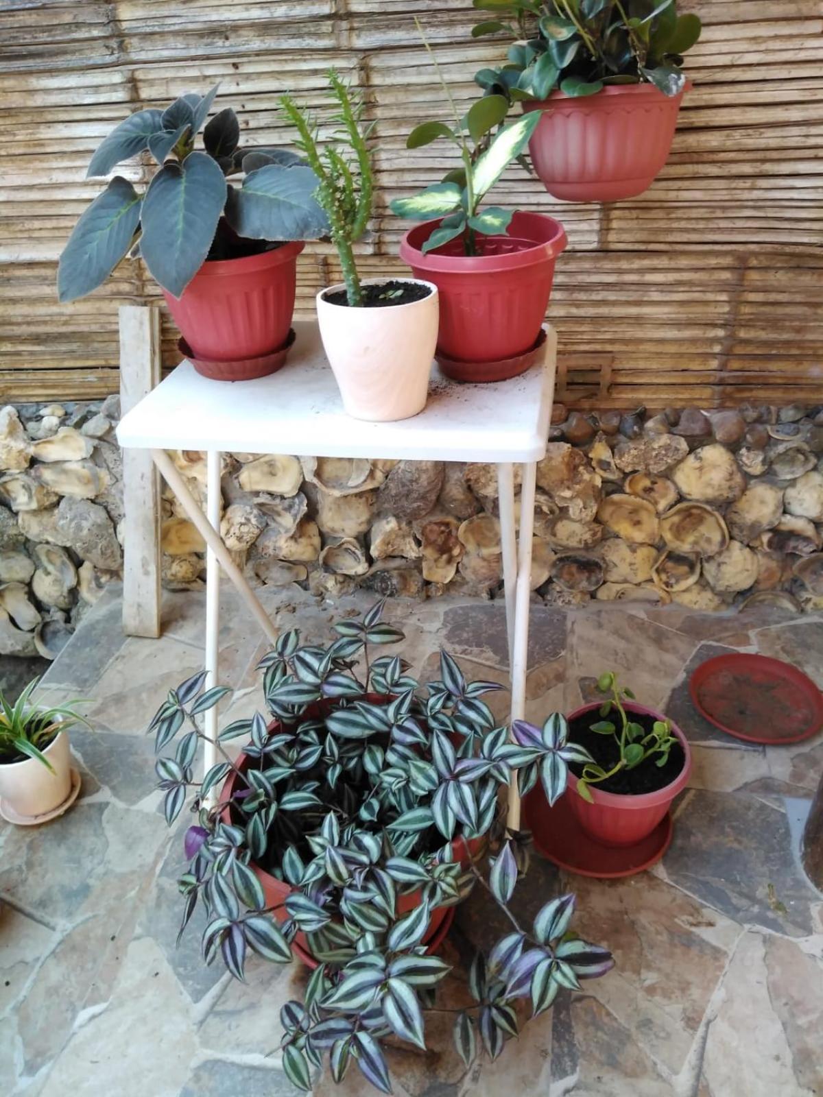 Hospedajesperu 索里托斯 外观 照片